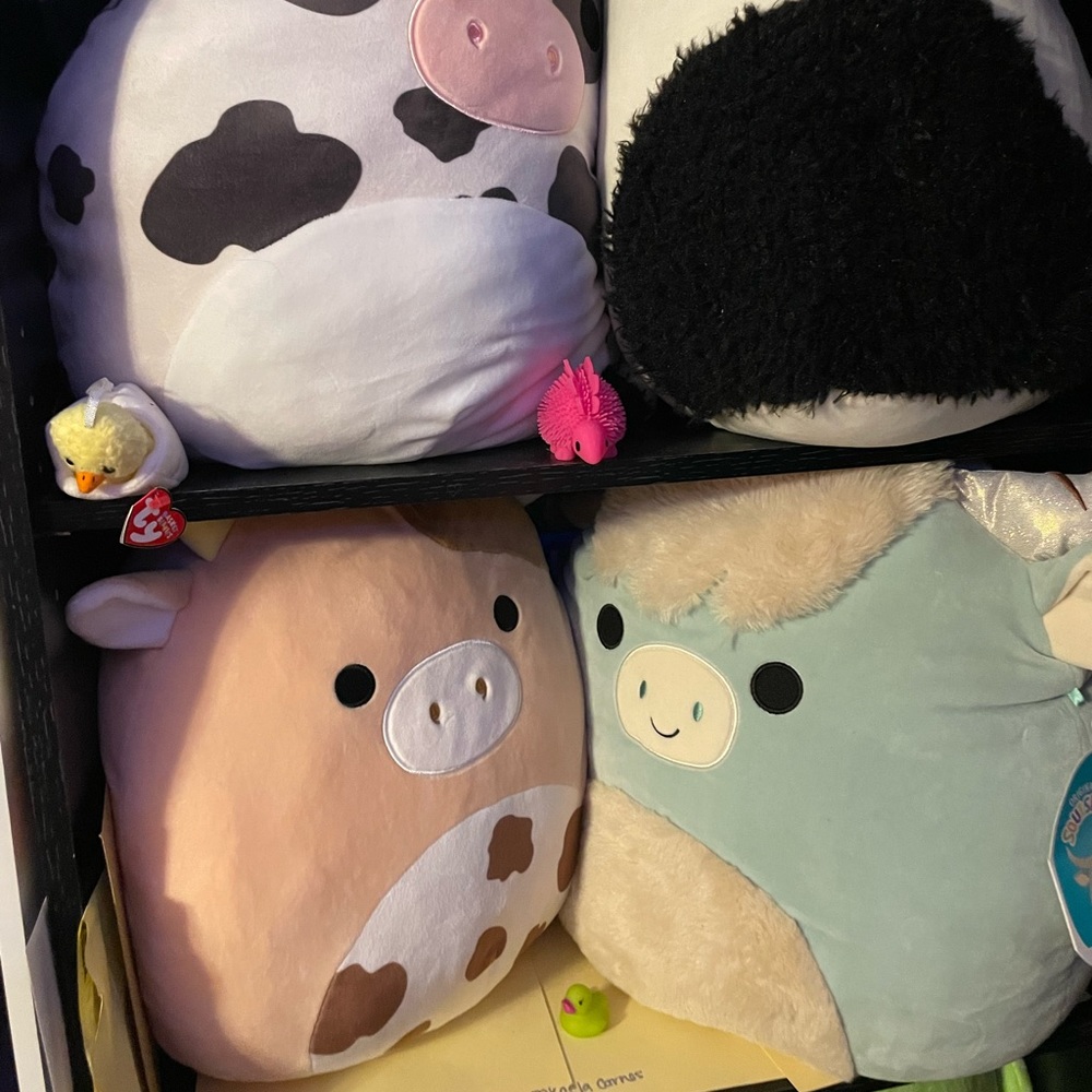 Squish trades?